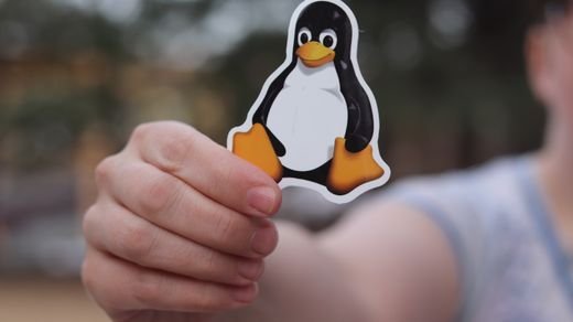 A close-up shot of a hand holding a penguin sticker against a blurred outdoor background.